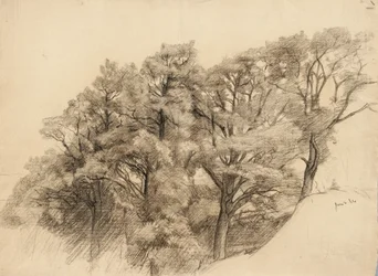 Landschaft mit Bäumen, 1884