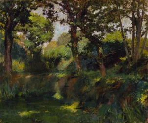 Waldlandschaft