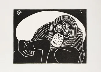 Orang-Utan