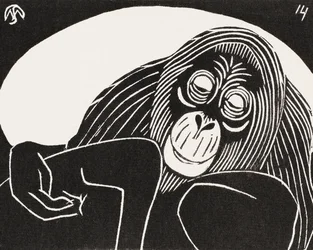 Orang-Utan