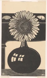 Sonnenblume