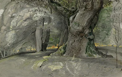 Eiche und Buche, Lullingstone Park