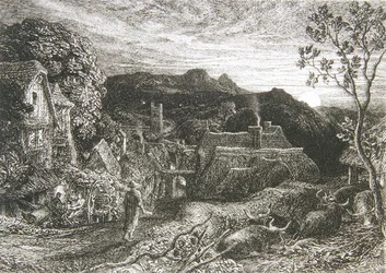 Der Ausrufer