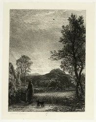 Die Feldlerche