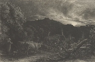 Der müde Pflüger oder Der Hirte oder Tardus Bubulcus