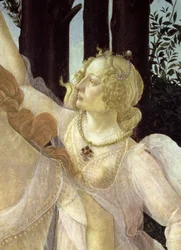 Detail einer der drei Grazien aus der Primavera