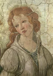 Venus und die drei Grazien bringen einem jungen Mädchen Geschenke dar, Detail einer der Grazien, Freskodetail