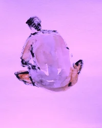 Abstrakte Figurenstudie