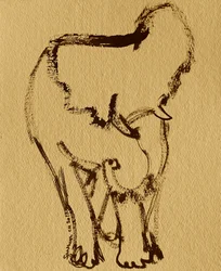 Sanfter Elefant in Tusche