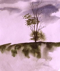 Stimmungsvoller Hügelbaum