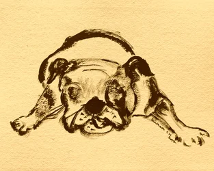 Skizze einer verspielten Bulldogge