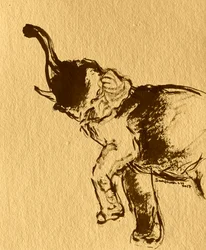 Verspielte Elefantenpose