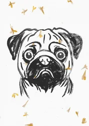 Mops mit fallenden Blütenblättern