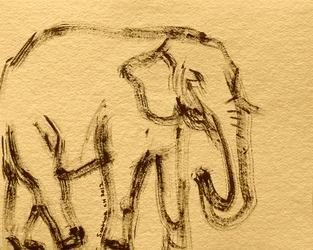 Wilder Elefant, Skizze