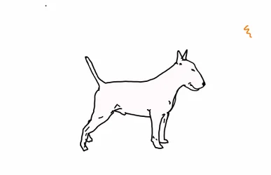 Bullterrier