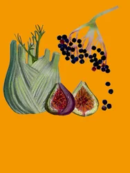 Obst & Gemüse