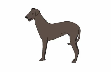 Jagdhund