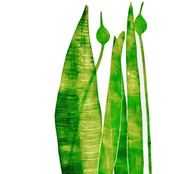 Lange grüne Dinge