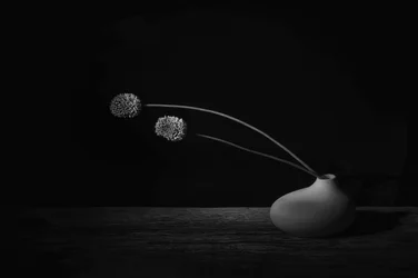 Elegantes Blumenstillleben