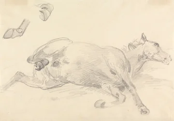 Studie eines liegenden Pferdes