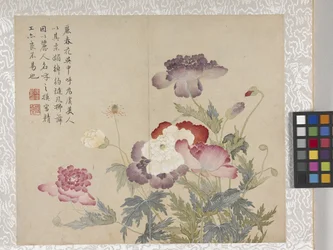 8-Blatt-Album von Blumen, Mitte 1700er