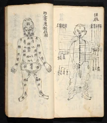 Akupunkturpunkte entlang der Mittellinie des Körpers, aus Jing Guan Qi Zhi, 