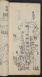 Akupunkturpunkte am Bein, aus Jing Guan Qi Zhi, „Die Anfänge und Enden der Akupunkturpunkte und Leitbahnen“, veröffentlicht in Südchina, frühes 18. Jahrhundert