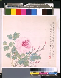 Album von Blumen und Vögeln, unbekanntes Datum