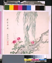 Album von Blumen und Vögeln, Datum unbekannt (Tinte und Farbe auf Seide)