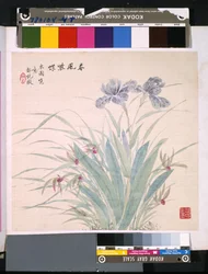 Album von Blumen und Vögeln, Datum unbekannt