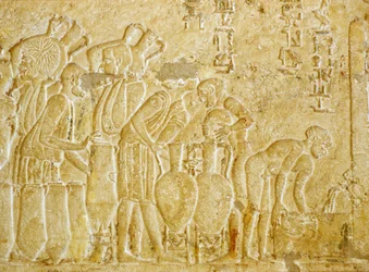 Altes Ägypten, Wandmalerei, Grab des Petosiris, 300 v. Chr., Tuna el Gebel, Wein sammeln und abfüllen