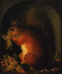 Rotes Eichhörnchen in einer Nische mit Nüssen