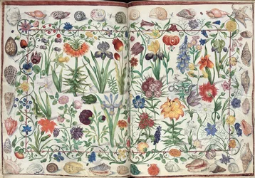 Seiten aus dem Album Amicorum von Philipp Hainhofer