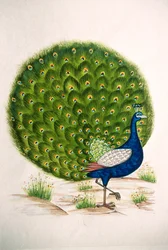 Miniaturmalerei auf Seide: Pfau