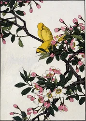 Serins auf einem blühenden Kirschzweig - Japanischer Druck