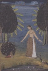 "Kakubha Ragini": Eine Dame steht auf einer Lichtung und füttert zwei Pfauen, Lucknow, provinzieller Mogulstil, aus einer Serie i-viii aus einem Johnson-Album Nr. 30, um 1780