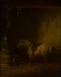 Pony in einem Stallinneren