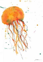 Orange Aquarellqualle