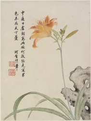 Taglilie aus einem Blumenalbum mit zehn Blättern, 1656