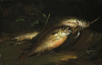 Fisch