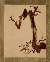 Krähe auf Baum
