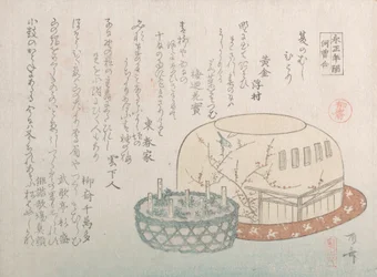 Insektenfänger und Topfkräuter, 19. Jahrhundert
