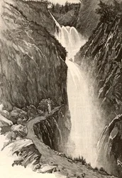 Illustration für 