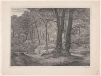 Wald mit Teich und liegendem Mann