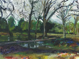 Überschwemmung, Richmond Park