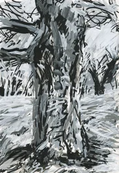 Alter Baum, Richmond Park