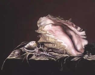 Stillleben mit Muscheln