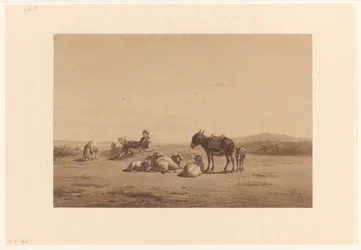 Rastender Schäfer mit Esel