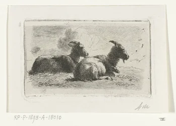 Zwei liegende Ziegen