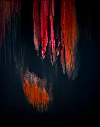 Glut